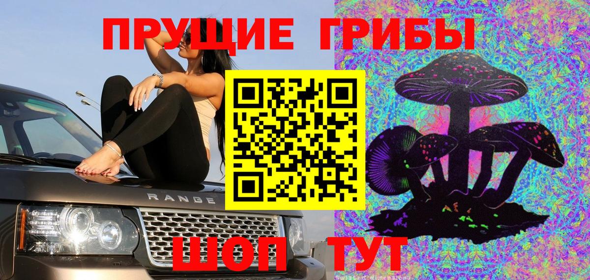 Псилоцибиновые грибы Psilocybine cubensis Алейск