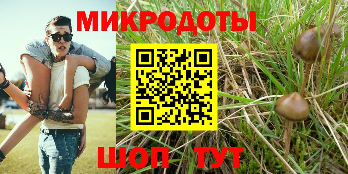 Галлюциногенные грибы мицелий  хочу   Алейск  Вход с VPN  Галлюциногенные грибы Cubensis 